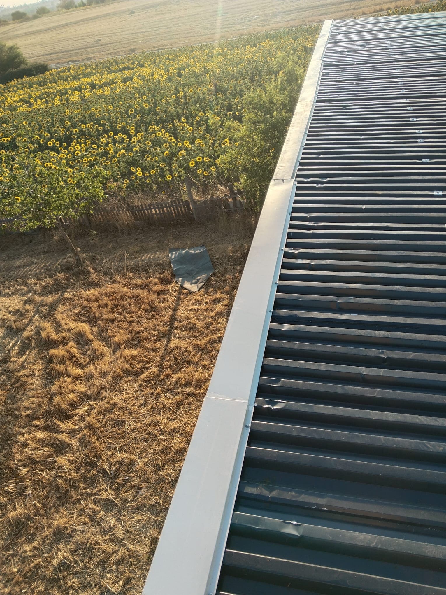 Görsel: IMG-20250919-WA0042.jpg